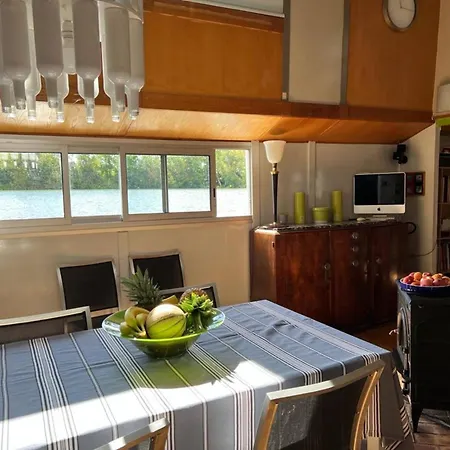 Péniche Loft Privé 100m2 - 15min De Paris En Rer Appartamento